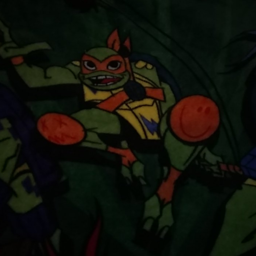 Teenage mutant ninja turtles blanket